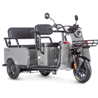 Электротрицикл Wanshida LC-F200 60V 1000Вт